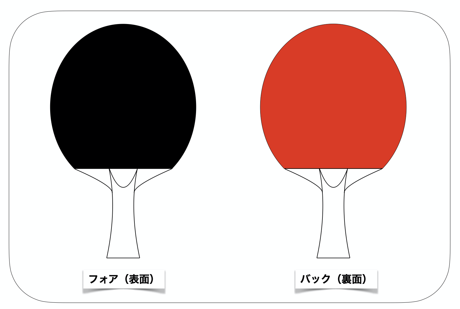 卓球ラケット全種類の特徴・シェークとペンの違いや形を説明 | Me